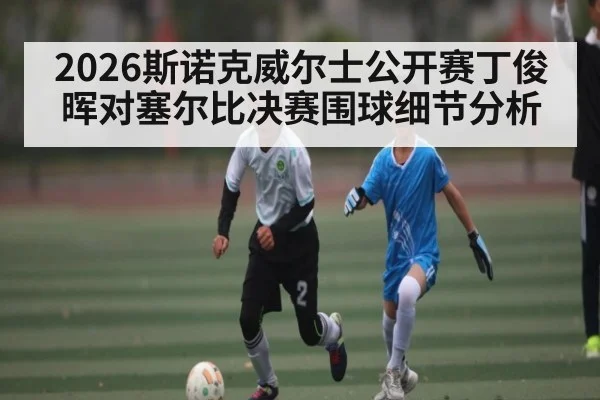 2026斯诺克威尔士公开赛丁俊晖对塞尔比决赛围球细节分析
