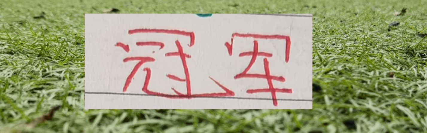 kaiyun sports-中超11轮就有突破30分球队！申花距离领头羊20分